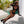 Load image into Gallery viewer, Mesh leopard print one-piece fishnet hollow socks Z030