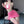 Load image into Gallery viewer, Pink Bunny Suit AN080