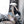 Load image into Gallery viewer, BUNNY GIRL SUIT KF81976