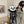 Load image into Gallery viewer, BLACK PLUSH BACKPACK KF82624