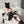 Load image into Gallery viewer, Cute cat set AN0516