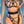 Load image into Gallery viewer, SPICE GIRLS BRA SET KF84023