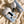 Load image into Gallery viewer, Plush Pacha Dog Shaking Butt (Order Remark Model) YV47467