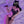 Load image into Gallery viewer, Lace underwear AN060