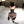 Load image into Gallery viewer, Halter neck backless leopard print suit AN0138