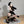 Load image into Gallery viewer, PURE DESIRE LACE CHEONGSAM KF83961