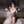 Load image into Gallery viewer, Temptation Cat dress AN0557