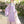 Load image into Gallery viewer, Butterfly Love Flower Embroidered Hanfu yc50072