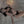 Load image into Gallery viewer, BLACK BUTTERFLY BRA SET KF83596