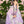 Load image into Gallery viewer, Butterfly Love Flower Embroidered Hanfu yc50072
