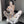 Load image into Gallery viewer, Cow Uniform Temptation YC202510