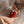 Load image into Gallery viewer, Velvet Backless Bunny Suit KF70022