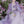 Load image into Gallery viewer, Hanfu One-Piece Myrobalan Skirt yc50074