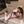 Load image into Gallery viewer, Pink uniform temptation AN0525