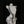 Load image into Gallery viewer, BLACK SILK TEMPTATION SUIT KF83929