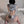 Load image into Gallery viewer, CUTE JUMPSUIT SET KF84003
