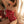 Load image into Gallery viewer, Bow lace jumpsuit YV47476