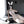 Load image into Gallery viewer, Cos Bunny Maid Suit AN0199