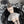 Load image into Gallery viewer, Cos maid uniform AN0193