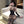 Load image into Gallery viewer, Halter neck backless leopard print suit AN0138