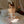 Load image into Gallery viewer, Hollow lace suspender set AN0277