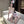 Load image into Gallery viewer, Cos uniform suit AN0274