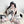 Load image into Gallery viewer, Cute maid outfit AN0522