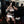 Load image into Gallery viewer, See through uniform suit AN0455