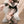 Load image into Gallery viewer, Dark Patent Leather Wings Uniform AN0161