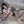Load image into Gallery viewer, Blue Uniform Suit KF70064
