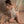 Load image into Gallery viewer, Lace backless pajamas AN0013