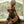 Load image into Gallery viewer, Lace pajamas AN079