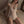 Load image into Gallery viewer, Lace jumpsuit AN0329