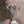 Load image into Gallery viewer, Lace bow suit AN0551