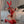 Load image into Gallery viewer, Bunny Seduction Bodysuit yc28101