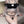 Load image into Gallery viewer, Cat girl maid uniform yc28028