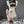 Load image into Gallery viewer, Japanese hollow maid nightgown yc28194