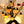Load image into Gallery viewer, Halloween spooky pumpkin lanterns yc28170
