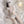 Load image into Gallery viewer, Cat Girl Lace JK Uniform yc50059