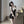 Load image into Gallery viewer, Sexy lace nightgown YC2022