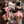 Load image into Gallery viewer, Bow bell cat set AN054