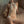 Load image into Gallery viewer, Enchantment clothing AN0020