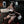 Load image into Gallery viewer, See through uniform suit AN0455