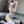 Load image into Gallery viewer, Cow Maid Outfit AN0550