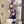 Load image into Gallery viewer, Rabbit Uniform AN0604