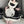 Load image into Gallery viewer, Cute cat dress AN072