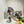 Load image into Gallery viewer, Disco Mushroom Balls yc50327