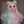 Load image into Gallery viewer, Carrousel colorblock wig YC21991