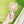 Load image into Gallery viewer, Cute style summer portable bear fan yc23289