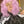 Load image into Gallery viewer, Lolita wave roll wig YC21901